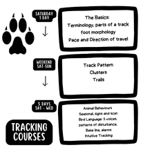 Load image into Gallery viewer, Tracking: Weekend