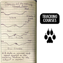 Load image into Gallery viewer, Tracking: Weekend