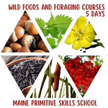 Load image into Gallery viewer, Foraging Courses: foods, medicinals and utilities 5 Day Full Course