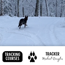 Load image into Gallery viewer, Tracking: Weekend