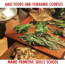Load image into Gallery viewer, Foraging Courses: foods, medicinals and utilities 1 DAY