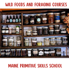 Load image into Gallery viewer, Foraging Courses: foods, medicinals and utilities 1 DAY