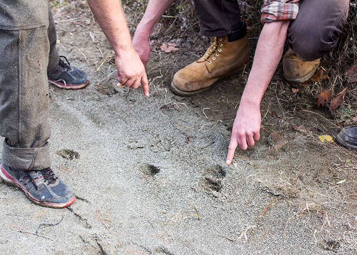 Spirit Of The Hunt 3 Day Intensive