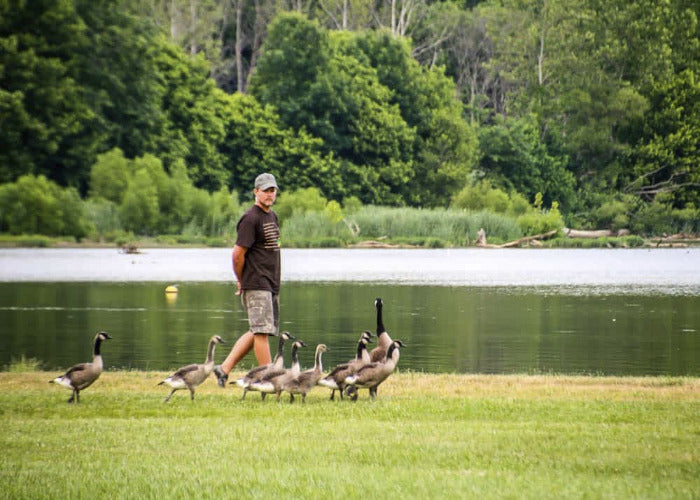 Seasonal Awareness one Day Workshops